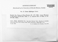 Image Associated With the Occurence